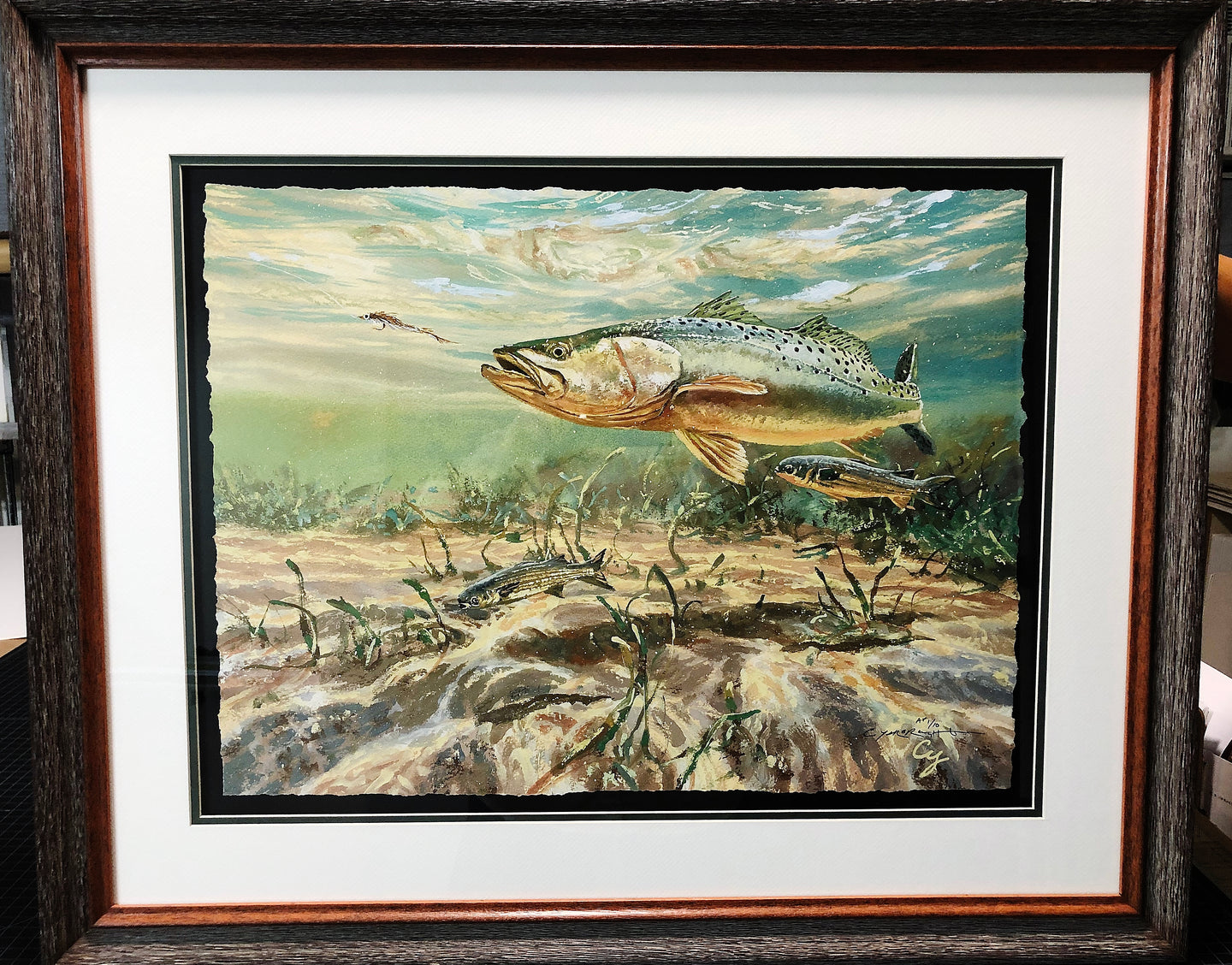 Chance Yarbrough - Dangerous Company - GiClee - Speckled Trout w Mullet - Brand New Custom Sporting Frame