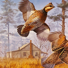 Load image into Gallery viewer, David Maass - 1982 International Quail Foundation Stamp Print With Stamp - Brand New Custom Sporting Frame