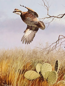 David Maass - 1990 First Of Series Texas Quail Stamp Print With Double Stamps - Brand New Custom Sporting Frame