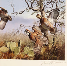 Load image into Gallery viewer, David Maass - 1990 First Of The Series Texas Quail Stamp Print With Double Stamps - Brand New Custom Sporting Frame