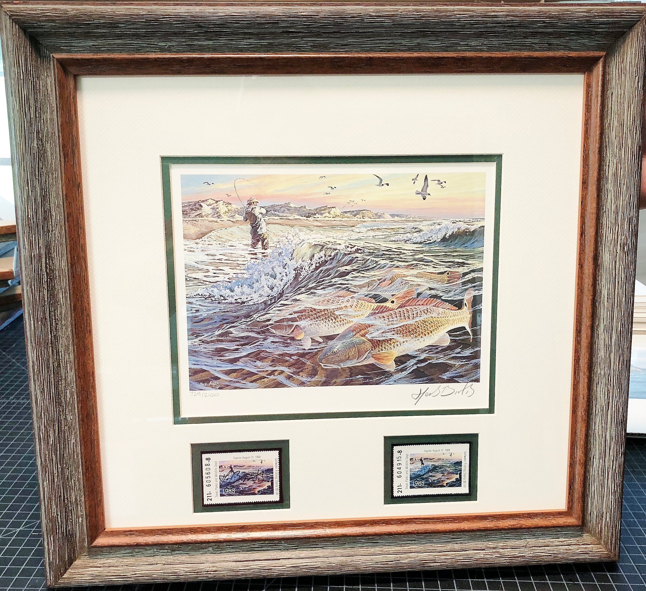 Herb Booth - 1988 Texas Saltwater Stamp Print With Double Stamps - Brand New Custom Sporting Frame