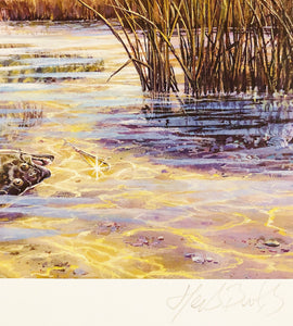 Herb Booth - 2009 Coastal Conservation Association CCA Stamp Print With Stamp - Brand New Custom Sporting Frame
