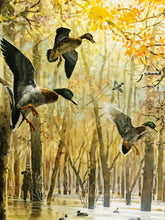 Load image into Gallery viewer, John P. Cowan 1986 Arkansas Duck Stamp Print With Double Stamps - Brand New Super Custom Sporting Frame