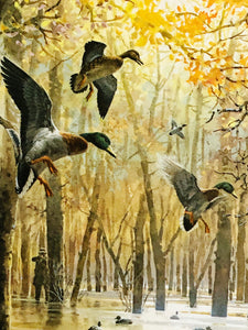 John P. Cowan 1986 Arkansas Duck Stamp Print With Double Stamps - Brand New Super Custom Sporting Frame
