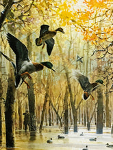 Load image into Gallery viewer, John P. Cowan 1986 Arkansas Duck Stamp Print With Double Stamps - Brand New Super Custom Sporting Frame