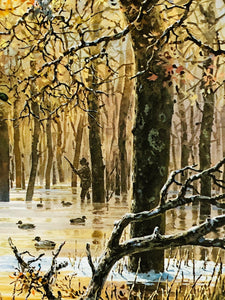John P. Cowan 1986 Arkansas Duck Stamp Print With Double Stamps - Brand New Super Custom Sporting Frame