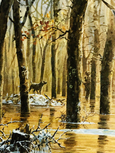 John P. Cowan 1986 Arkansas Duck Stamp Print With Double Stamps - Brand New Super Custom Sporting Frame