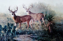 Load image into Gallery viewer, Ken Carlson Monster In The Mist GiClee Full Sheet Rare - Brand New Super Custom Sporting Frame