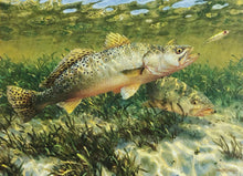 Load image into Gallery viewer, Mark Susinno 2003 Texas Saltwater Stamp Print With Stamp - Brand New Super Custom Sporting Frame