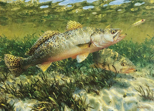 Mark Susinno 2003 Texas Saltwater Stamp Print With Stamp - Brand New Super Custom Sporting Frame