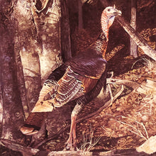 Load image into Gallery viewer, Ragan Gennusa  1999 Texas Turkey Stamp Print With Stamp - Brand New Super Custom Sporting Frame