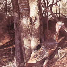 Load image into Gallery viewer, Ragan Gennusa  1999 Texas Turkey Stamp Print With Stamp - Brand New Super Custom Sporting Frame
