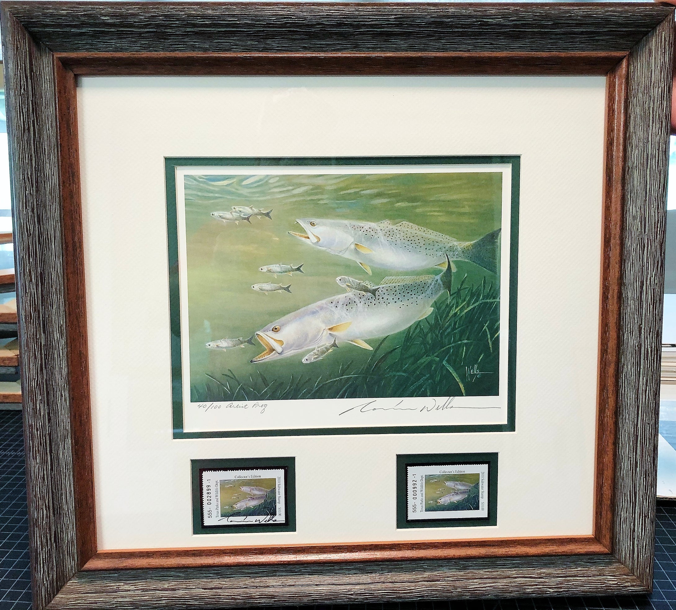 Ronnie Wells  2010 Texas Saltwater Stamp Print Artist Proof With Double Stamps - Brand New Custom Sporting Frame