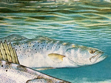 Load image into Gallery viewer, Al Agnew - 1991 Texas Saltwater Stamp Print With Stamp - Brand New Custom Sporting Frame