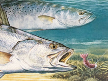 Load image into Gallery viewer, Al Agnew - 1991 Texas Saltwater Stamp Print With Stamp - Brand New Custom Sporting Frame