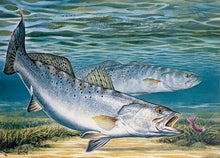 Load image into Gallery viewer, Al Agnew - 1991 Texas Saltwater Stamp Print With Stamp - Brand New Custom Sporting Frame
