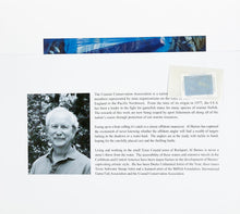 Load image into Gallery viewer, Al Barnes - 2008 Coastal Conservation Association CCA Stamp Print With Stamp - Brand New Custom Sporting Frame