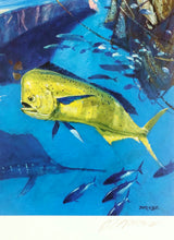 Load image into Gallery viewer, Al Barnes - 2008 Coastal Conservation Association CCA Stamp Print With Stamp - Brand New Custom Sporting Frame