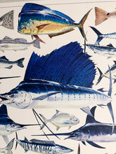 Load image into Gallery viewer, Al Barnes - Gulf Coast Collection With Ultra Rare Redfish Remarque - Lithograph 1980 - Brand New Custom Sporting Frame