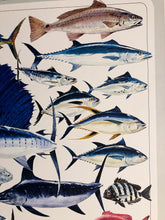 Load image into Gallery viewer, Al Barnes - Gulf Coast Collection With Ultra Rare Redfish Remarque - Lithograph 1980 - Brand New Custom Sporting Frame