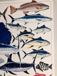 Al Barnes - Gulf Coast Collection With Ultra Rare Redfish Remarque - Lithograph 1980 - Brand New Custom Sporting Frame