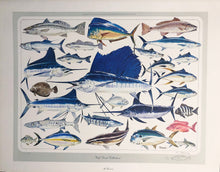 Load image into Gallery viewer, Al Barnes - Gulf Coast Collection With Ultra Rare Redfish Remarque - Lithograph 1980 - Brand New Custom Sporting Frame