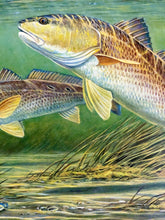 Load image into Gallery viewer, Calvin Carter - 2012 CCA Coastal Conservation Association Stamp Print With Stamp - Brand New Custom Sporting Frame