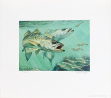 Load image into Gallery viewer, Calvin Carter - 2014 Texas Saltwater Stamp Print With Stamp - Brand New Custom Sporting Frame