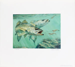 Calvin Carter - 2014 Texas Saltwater Stamp Print With Stamp - Brand New Custom Sporting Frame