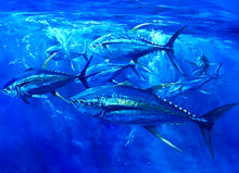 Load image into Gallery viewer, Chance Yarbrough Epic GiClee Full Sheet Yellowfin Tuna - Brand New Custom Sporting Frame