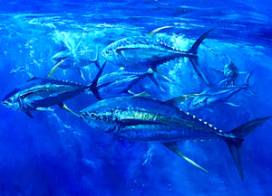 Chance Yarbrough Epic GiClee Full Sheet Yellowfin Tuna - Brand New Custom Sporting Frame