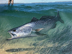 John Dearman 1995 Texas Saltwater Stamp Print With Double Stamps - Brand New Super Custom Sporting Frame