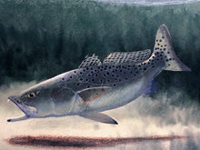 Load image into Gallery viewer, John Dearman Night Fishing GiClee Half Sheet - Fishing Specks Under The Lights - Brand New Super Custom Sporting Frame