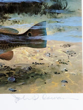 Load image into Gallery viewer, John P. Cowan 1983 Gulf Coastal Conservation Association CCA GCCA Stamp Print With Stamp - Brand New Super Custom Sporting Frame