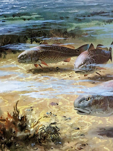 John P. Cowan 1983 Gulf Coastal Conservation Association CCA GCCA Stamp Print With Stamp - Brand New Super Custom Sporting Frame
