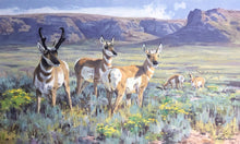 Load image into Gallery viewer, Ken Carlson - High Desert Antelope - FS GiClee - Brand New Custom Sporting Frame