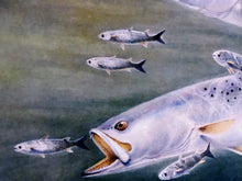 Load image into Gallery viewer, Ronnie Wells  2010 Texas Saltwater Stamp Print Artist Proof With Double Stamps - Brand New Super Custom Sporting Frame