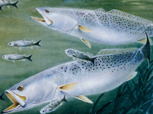 Load image into Gallery viewer, Ronnie Wells  2010 Texas Saltwater Stamp Print Artist Proof With Double Stamps - Brand New Super Custom Sporting Frame