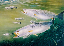 Load image into Gallery viewer, Ronnie Wells  2010 Texas Saltwater Stamp Print Artist Proof With Double Stamps - Brand New Super Custom Sporting Frame