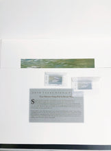 Load image into Gallery viewer, Ronnie Wells  2010 Texas Saltwater Stamp Print Artist Proof With Double Stamps - Brand New Super Custom Sporting Frame